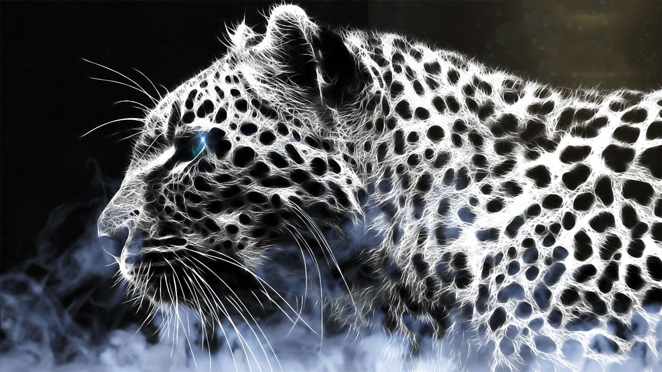 Leopard Wallpaper Hd003 Wallpaperjosh - Black And White Cheetah , HD Wallpaper & Backgrounds