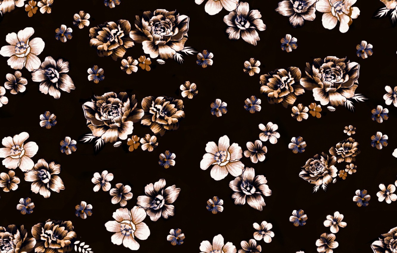 Photo Wallpaper Flowers, Background, Black, Brown, - Motif , HD Wallpaper & Backgrounds