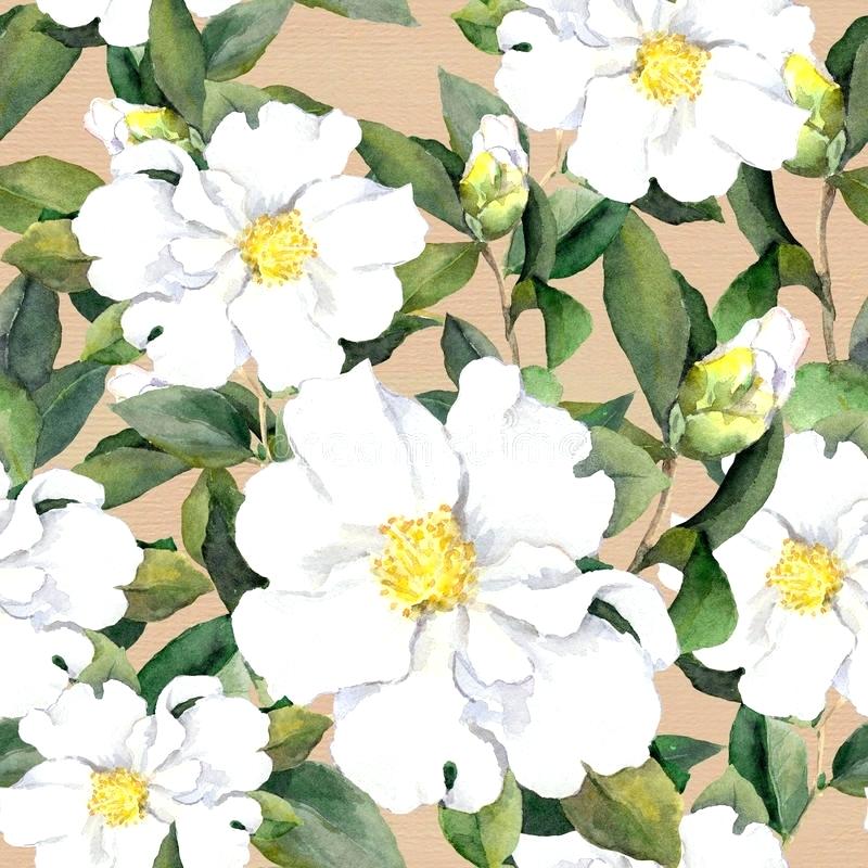 White Floral Wallpaper Black - Fundo Flores Pintura , HD Wallpaper & Backgrounds