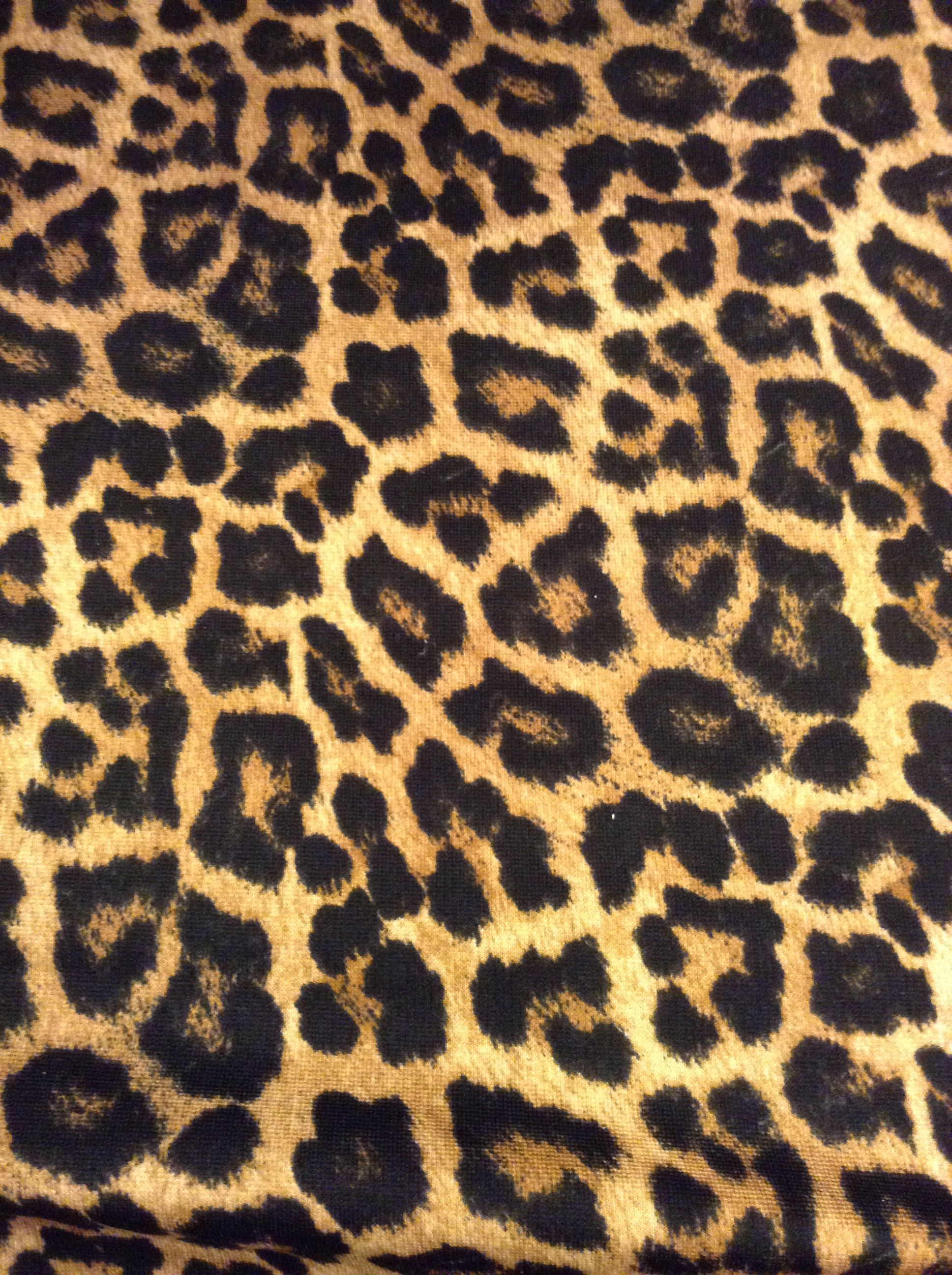Animal Print Pattern - High Resolution Leopard Print Background , HD Wallpaper & Backgrounds