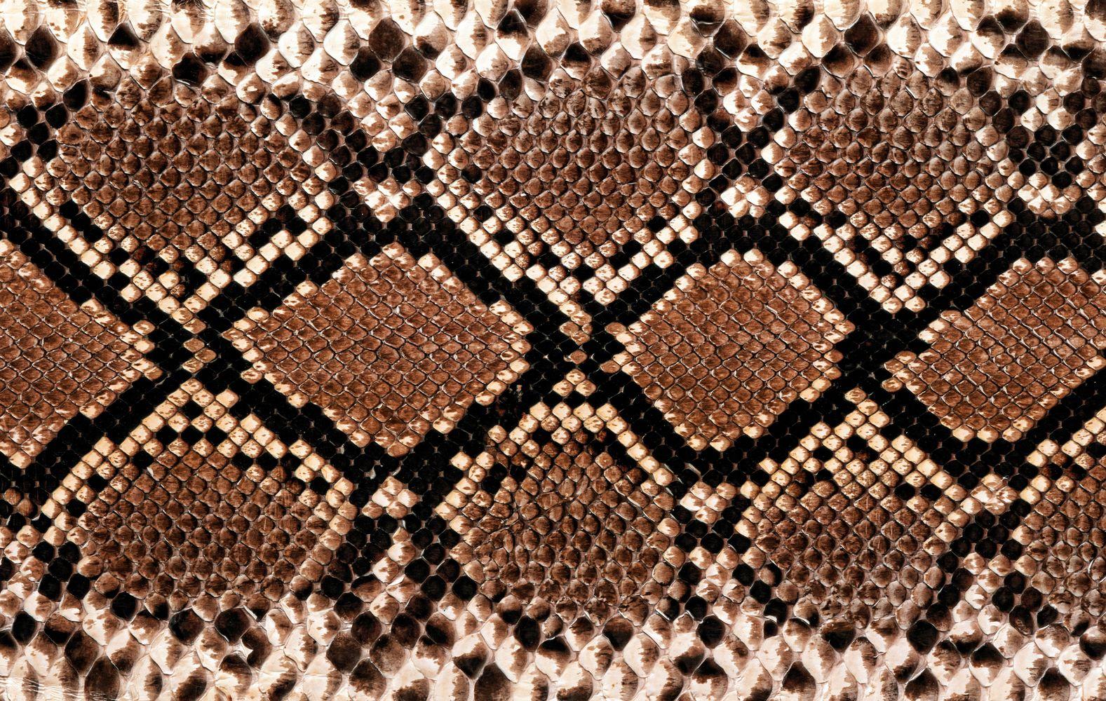 Animal Pattern Wallpaper - Rattlesnake Skin , HD Wallpaper & Backgrounds