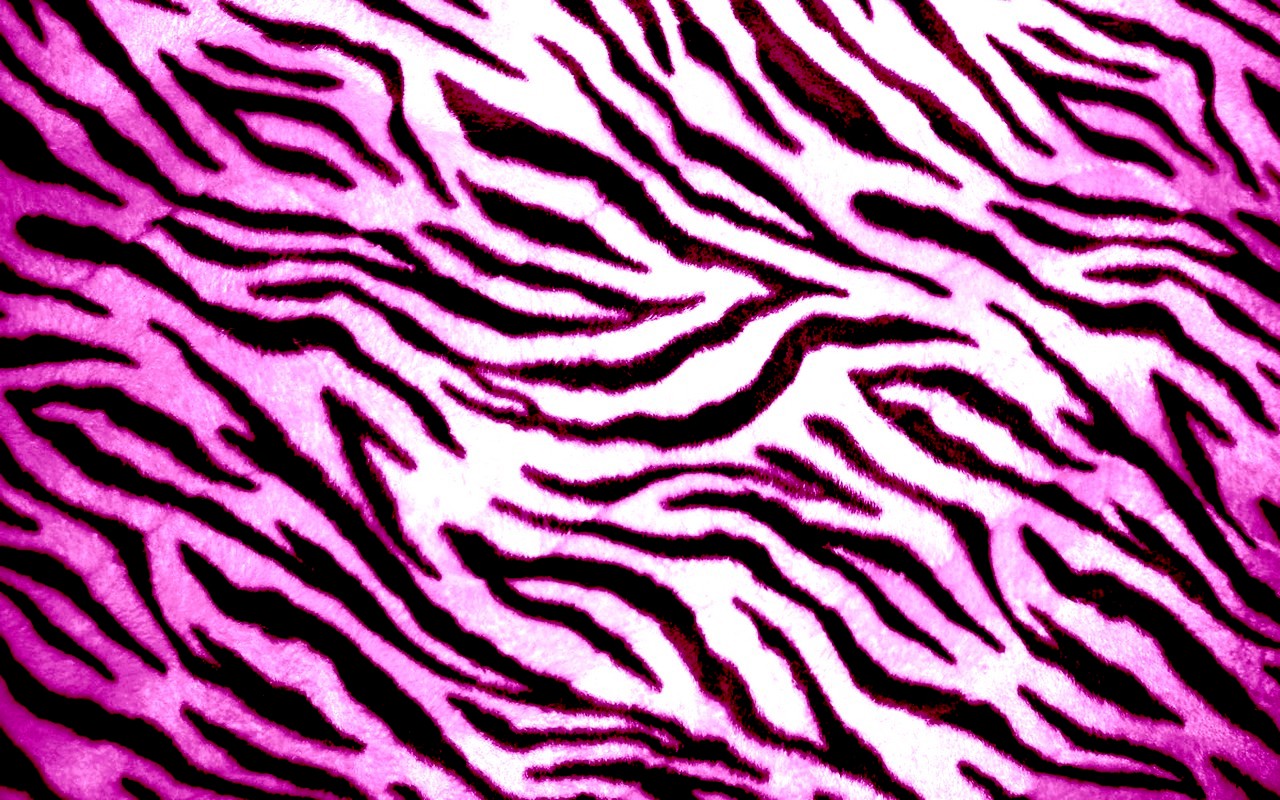 Zebra Print Wallpaper - Zebra Print Pink , HD Wallpaper & Backgrounds