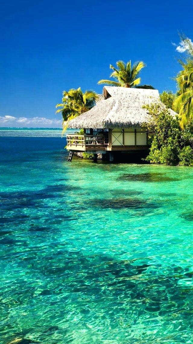 Tropical Wallpapers - Tropical Island Wallpaper Phone , HD Wallpaper & Backgrounds