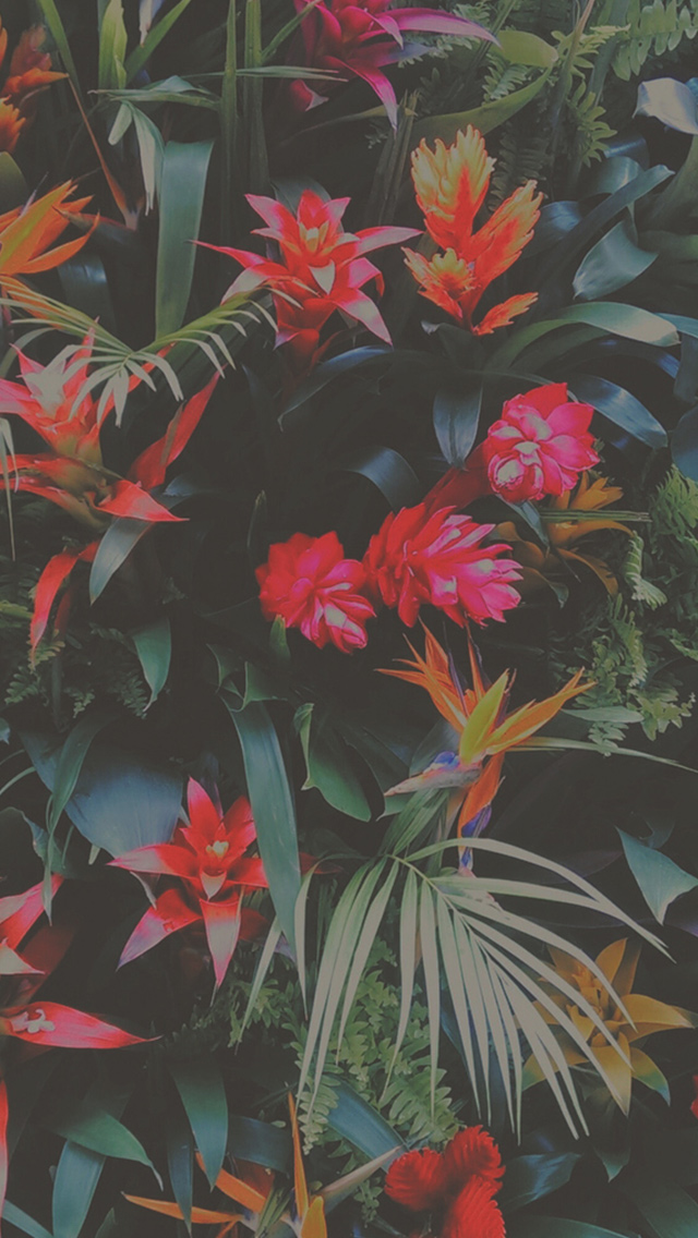 Tropical Flowers Mix Iphone Se Wallpaper - Tropical Iphone Wallpaper Hd , HD Wallpaper & Backgrounds