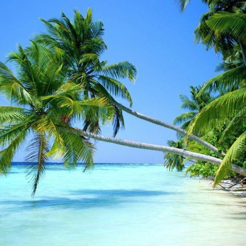 10 Latest Tropical Beach Wallpaper Desktop Full Hd - Beautiful View In The World , HD Wallpaper & Backgrounds