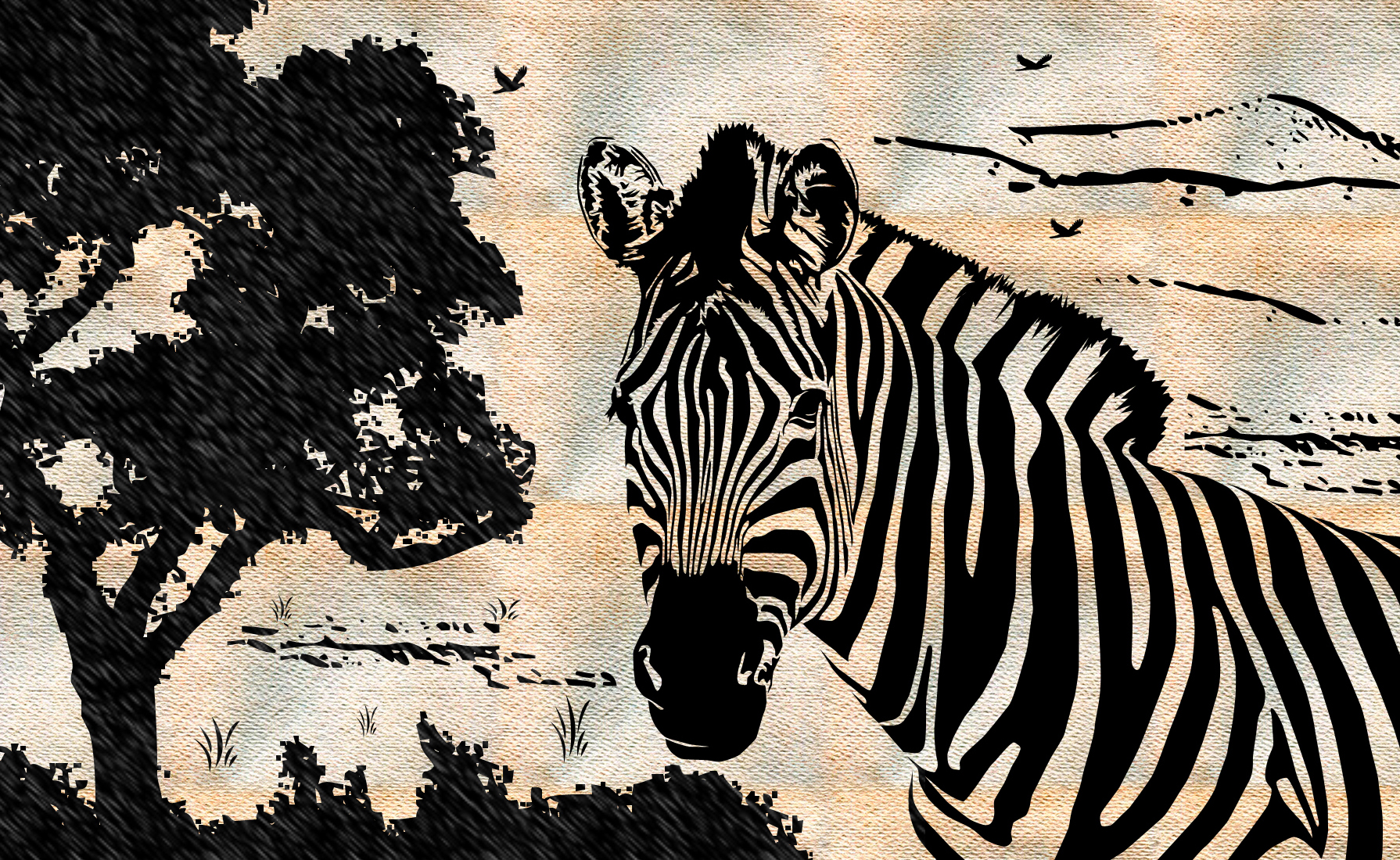 Zebra Wallpapers - Cool Zebra Backgrounds , HD Wallpaper & Backgrounds