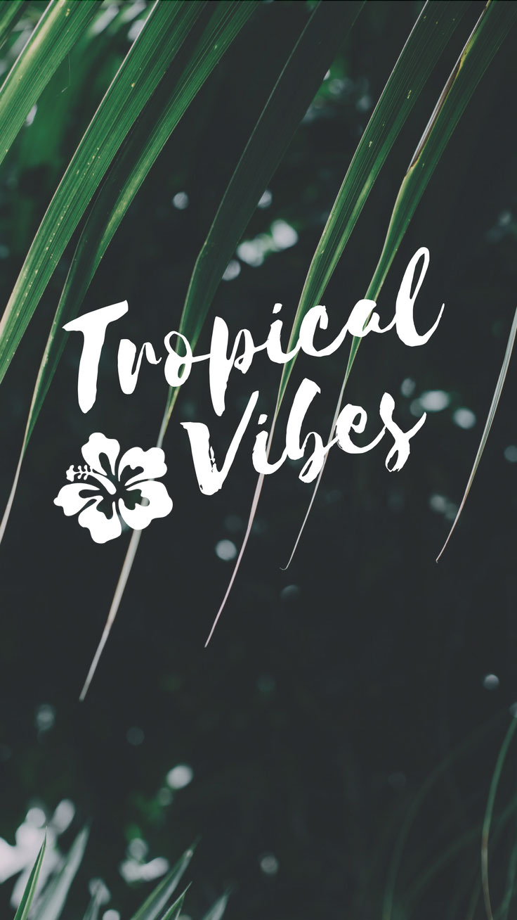 Tropical Vibes Quote Iphone 7 Plus Wallpaper Tap