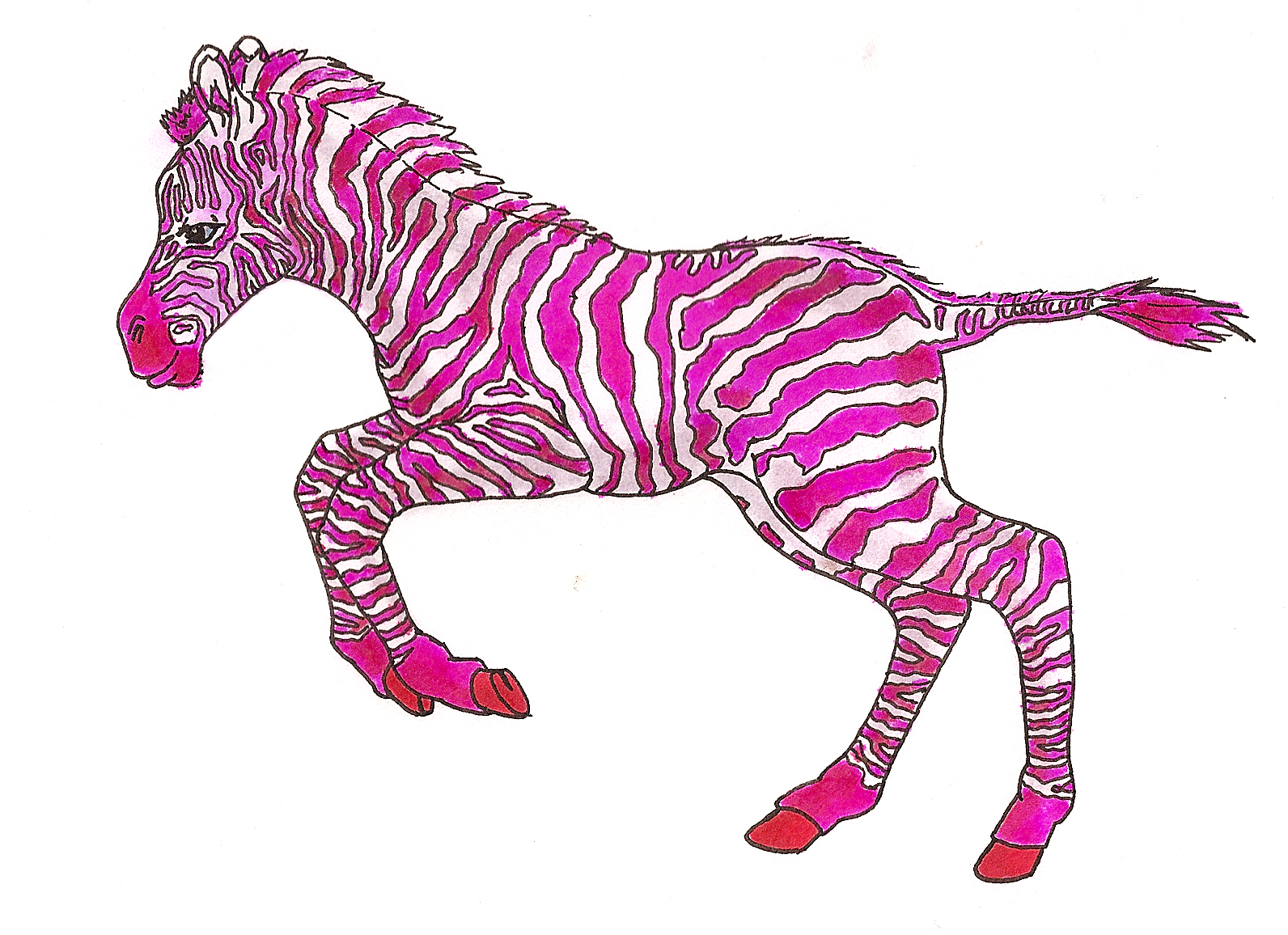 Bubble Gum Zebra - Pink Zebra , HD Wallpaper & Backgrounds