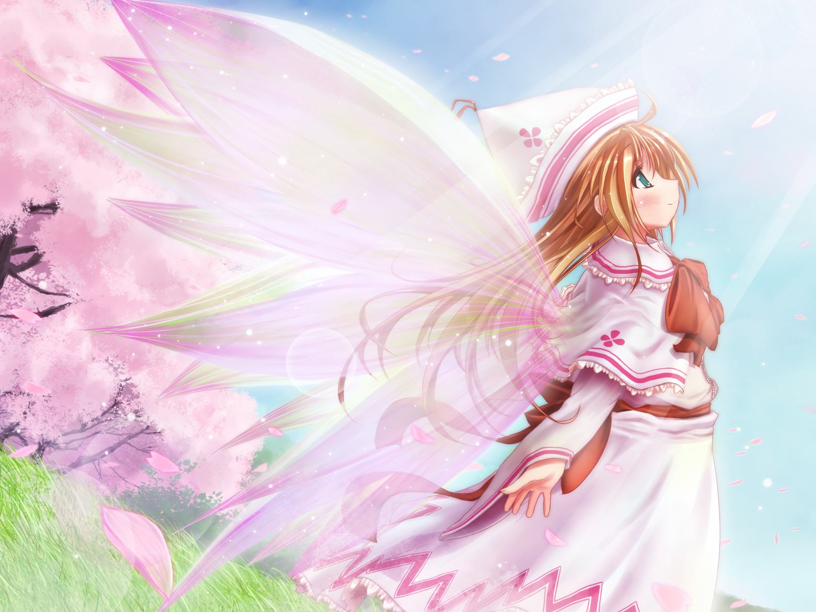 Cute Anime Girl Fairy , HD Wallpaper & Backgrounds