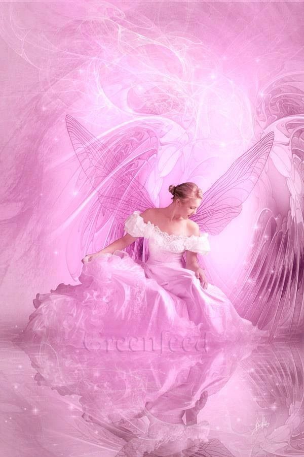 Pink Angel Love - Pink Fairy , HD Wallpaper & Backgrounds