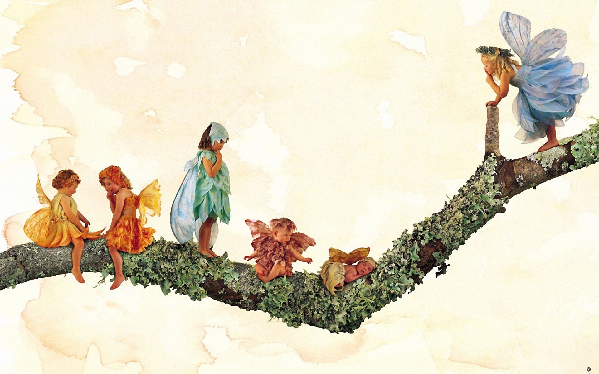 Flower Fairy Baby - Anne Geddes Fairy , HD Wallpaper & Backgrounds