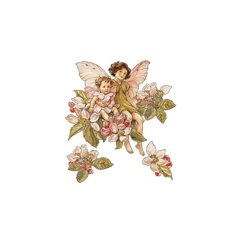 Wallies 12955 Apple Blossom Flower Fairies Wallpaper - Flower Fairies No Background , HD Wallpaper & Backgrounds