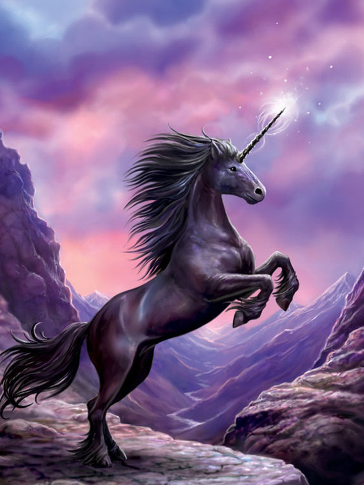 Rainbow Unicorn Wallpapers Hd - Unicornio Negro , HD Wallpaper & Backgrounds