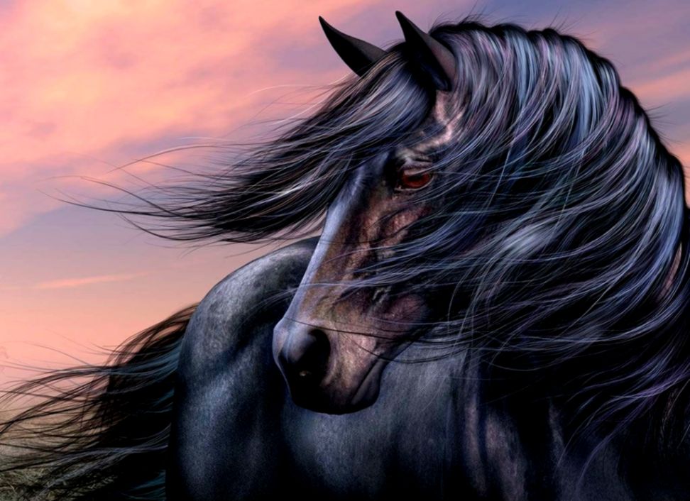 Black Horse Wallpapers Nh139 Fhdq Wallpapers For Desktop - Beautiful Wallpaper Black Horse , HD Wallpaper & Backgrounds