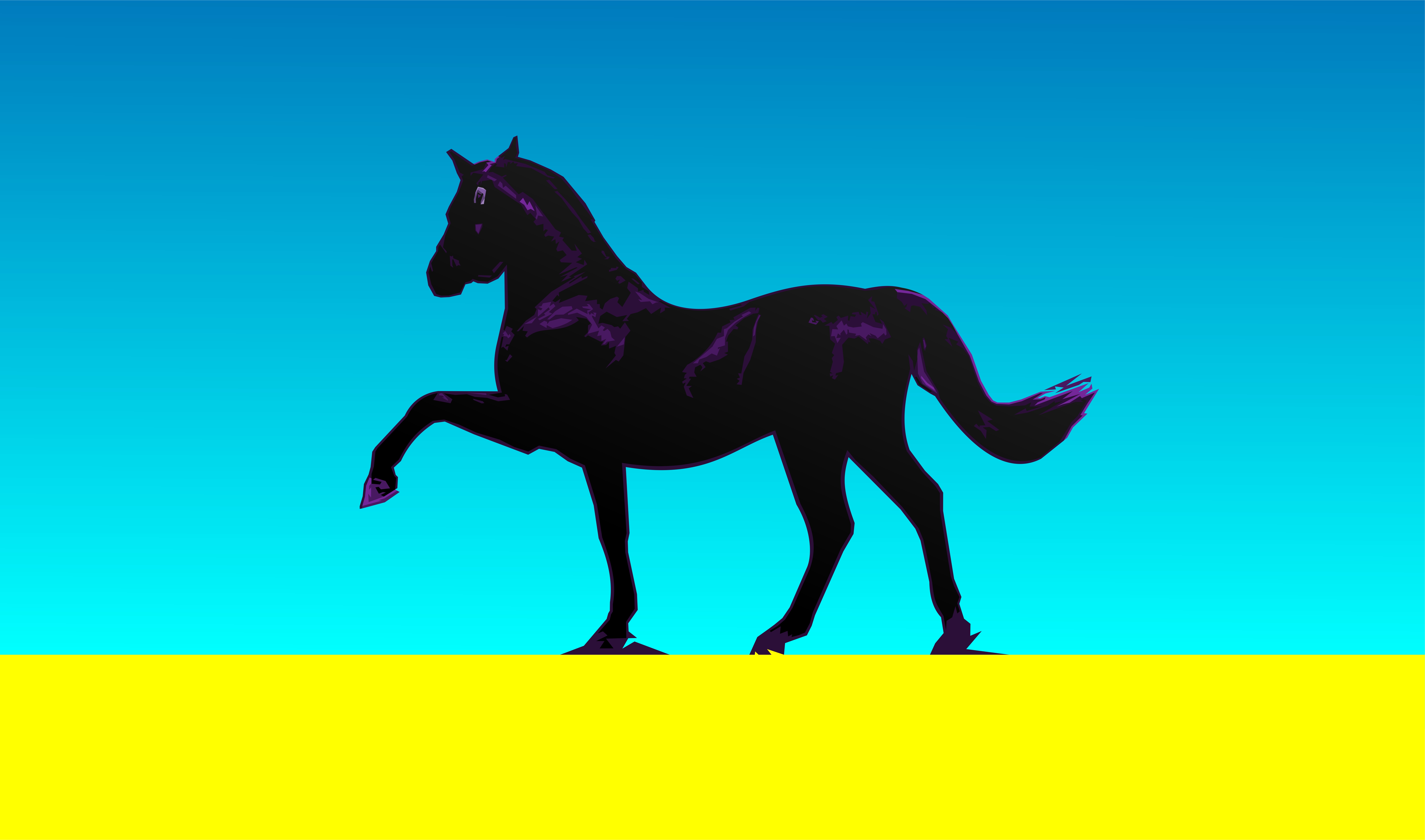Black Horse - Stallion , HD Wallpaper & Backgrounds