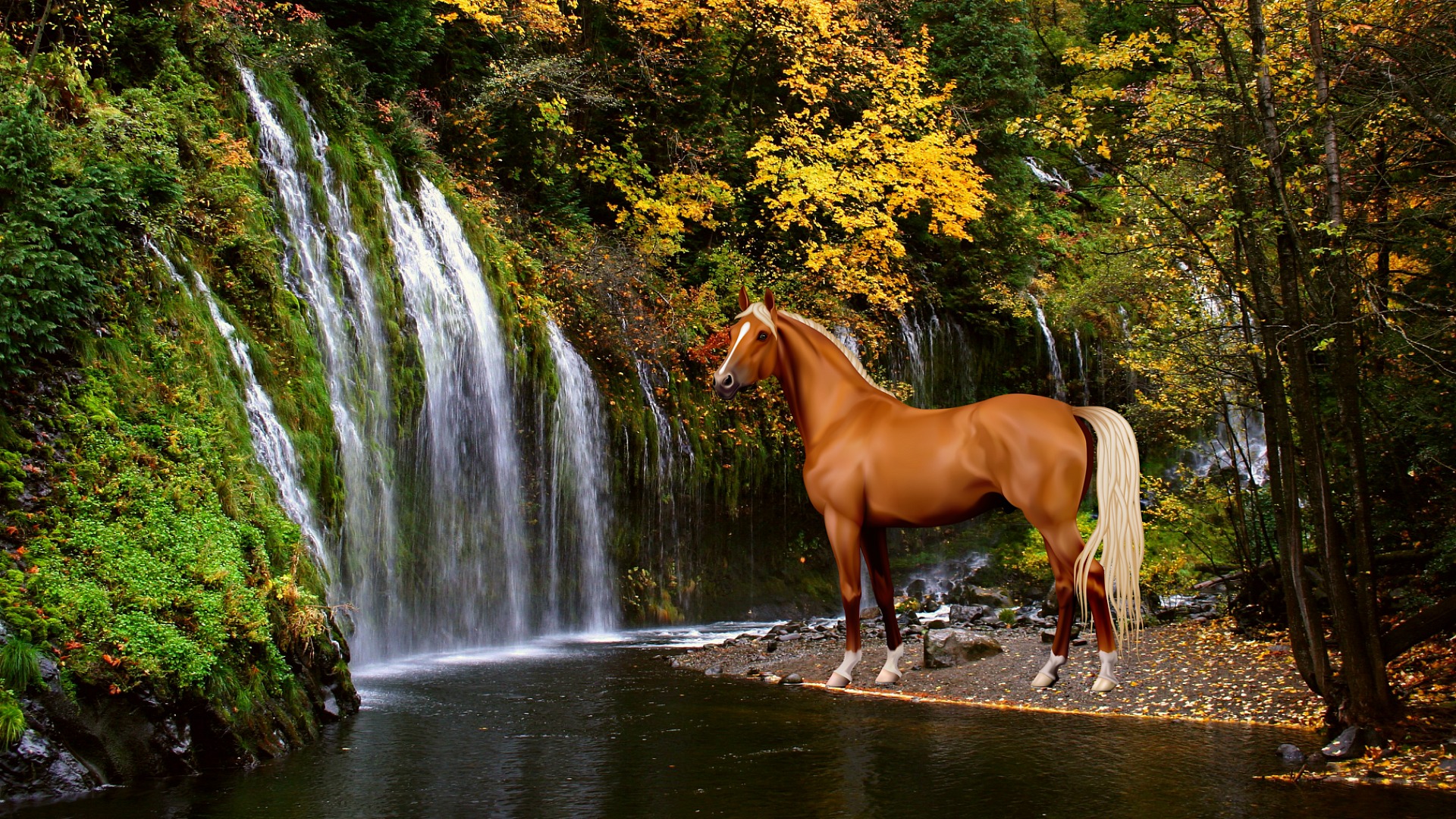 Water, Autumn, Black, Mane, American Paint Horse Wallpaper - Mossbrae Falls In Fall , HD Wallpaper & Backgrounds
