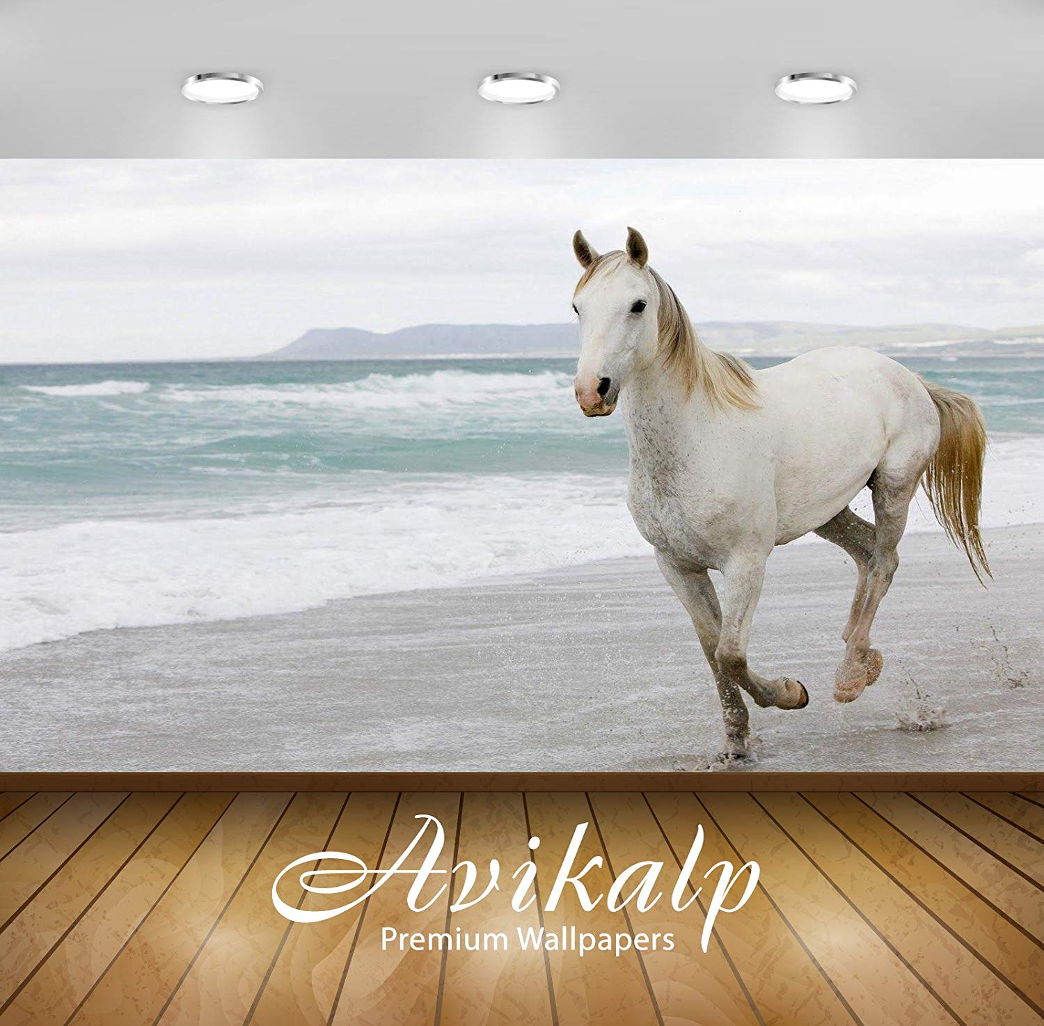 Horse On A Beach , HD Wallpaper & Backgrounds