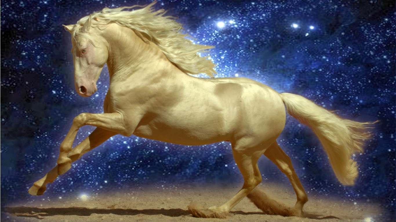 27804 Free Horse Wallpapers For Desktop - Good Night Image Horse , HD Wallpaper & Backgrounds