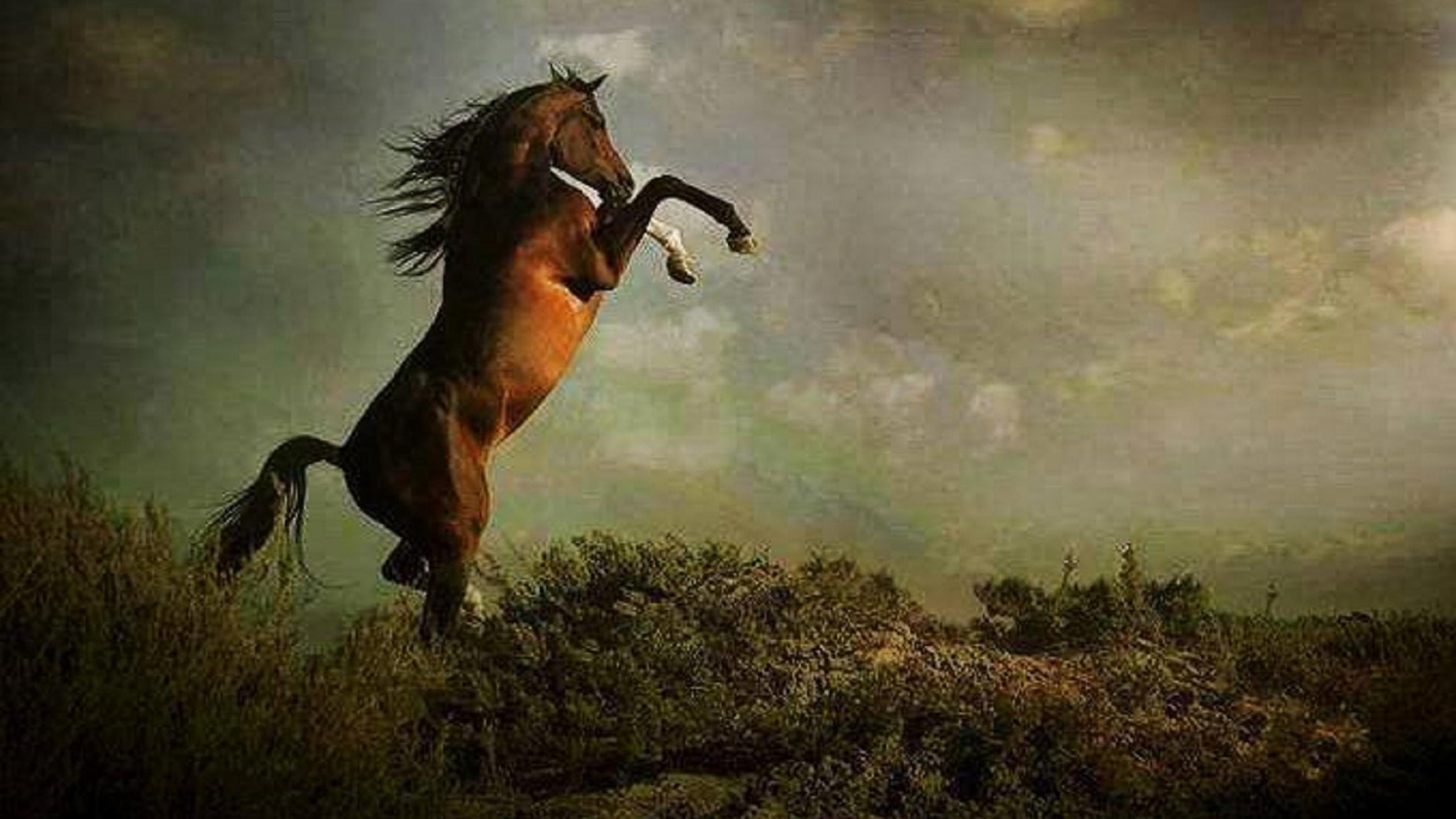 Wallpaper Horse Painting Wallpaper - Hd Wallpaper For Painting , HD Wallpaper & Backgrounds