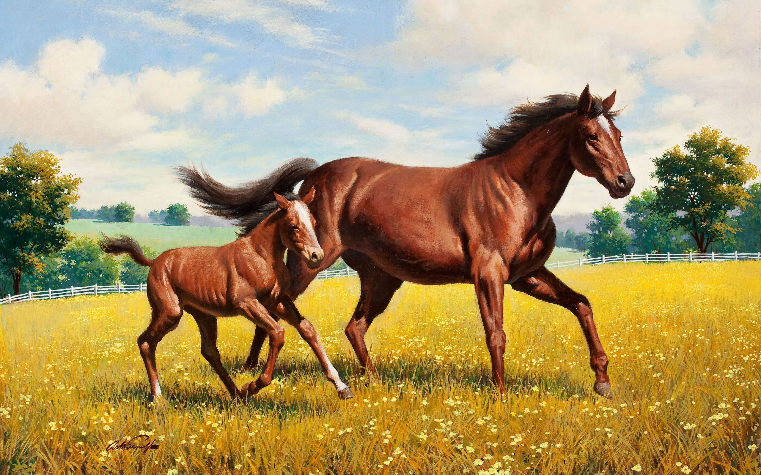 Horse Wallpaper - Лошадь Жеребенок , HD Wallpaper & Backgrounds