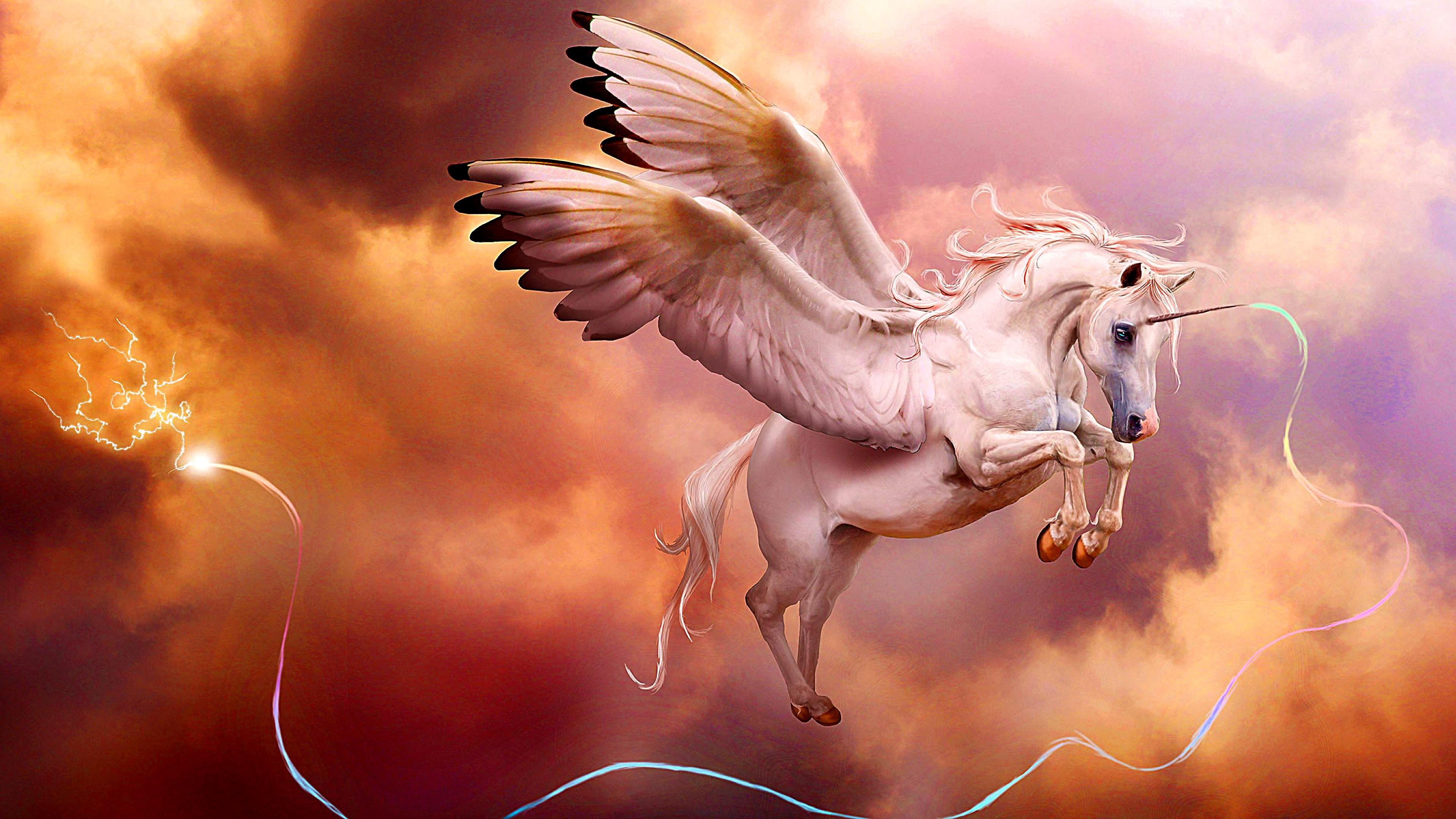 Horse Wallpaper Hd Photo - Pegasus Or Unicorn , HD Wallpaper & Backgrounds