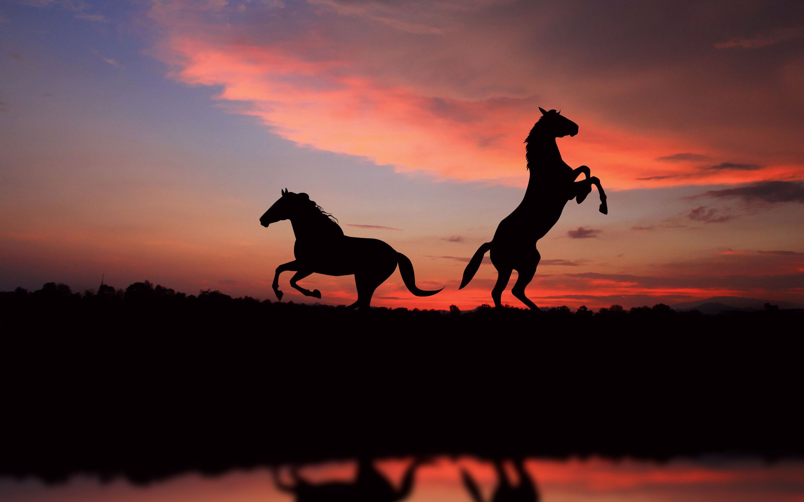 Sunset Silhouettes - Horse With Cute Background , HD Wallpaper & Backgrounds