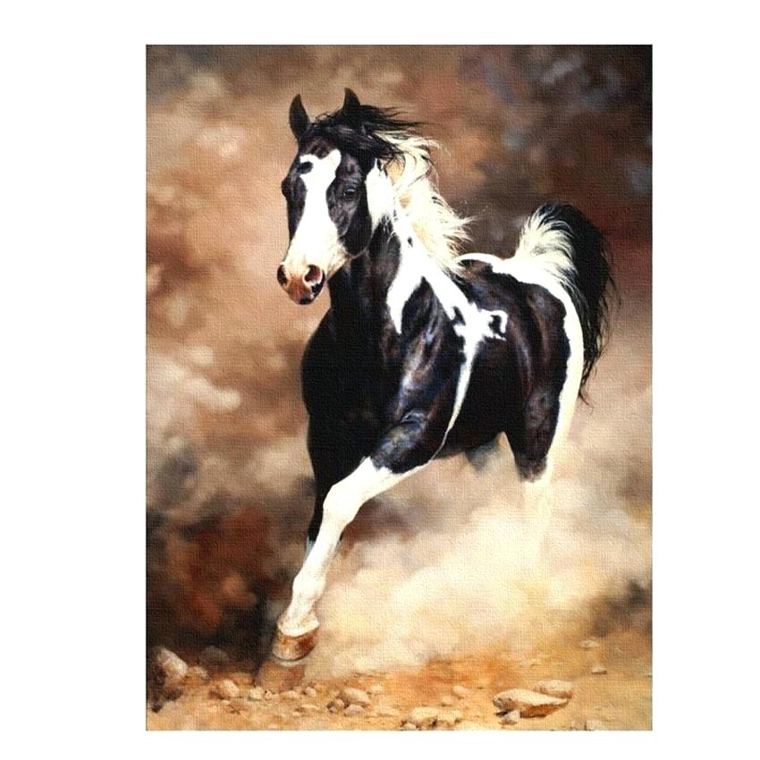 Horse Painting By Numbers , HD Wallpaper & Backgrounds