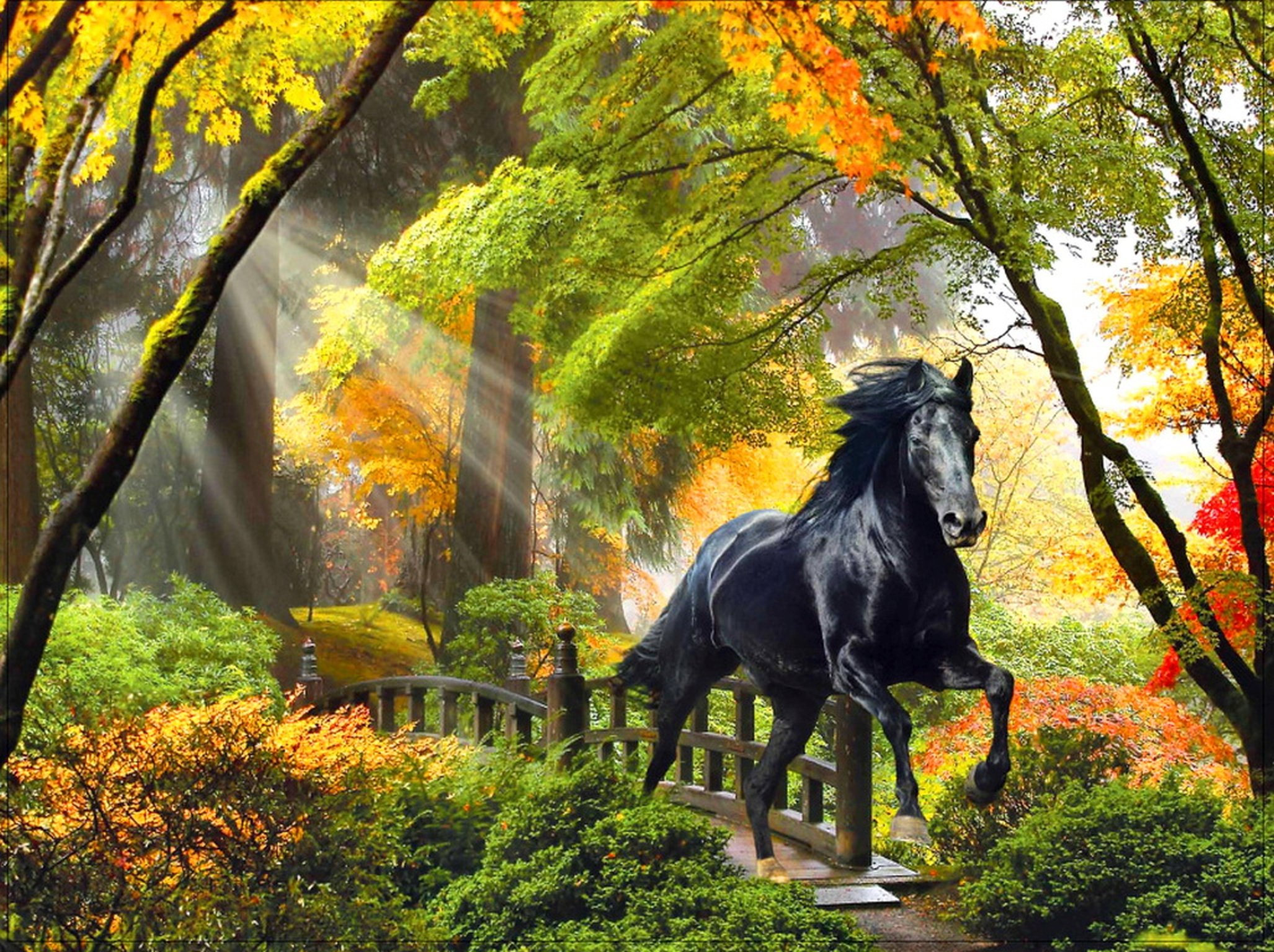 Fall Rays Horse Beautiful Trees Art Enchanted Bridge , HD Wallpaper & Backgrounds