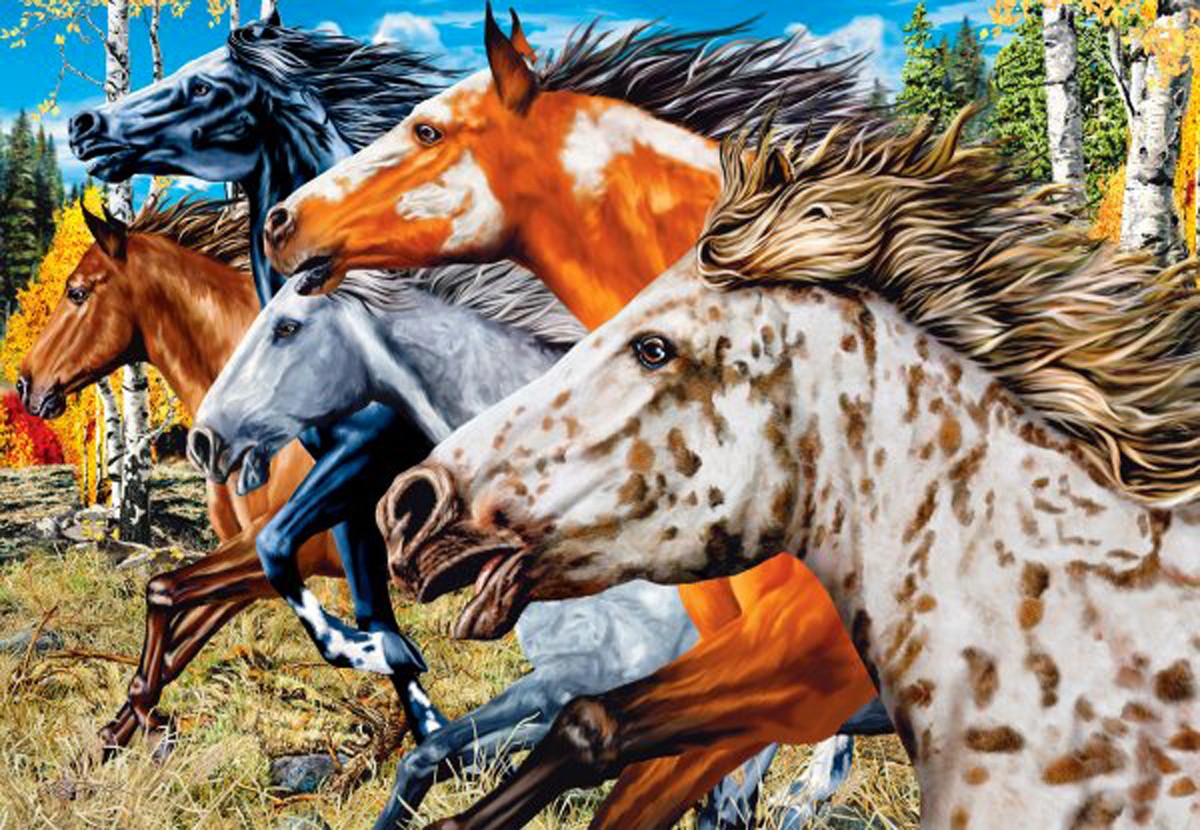 Horse , HD Wallpaper & Backgrounds