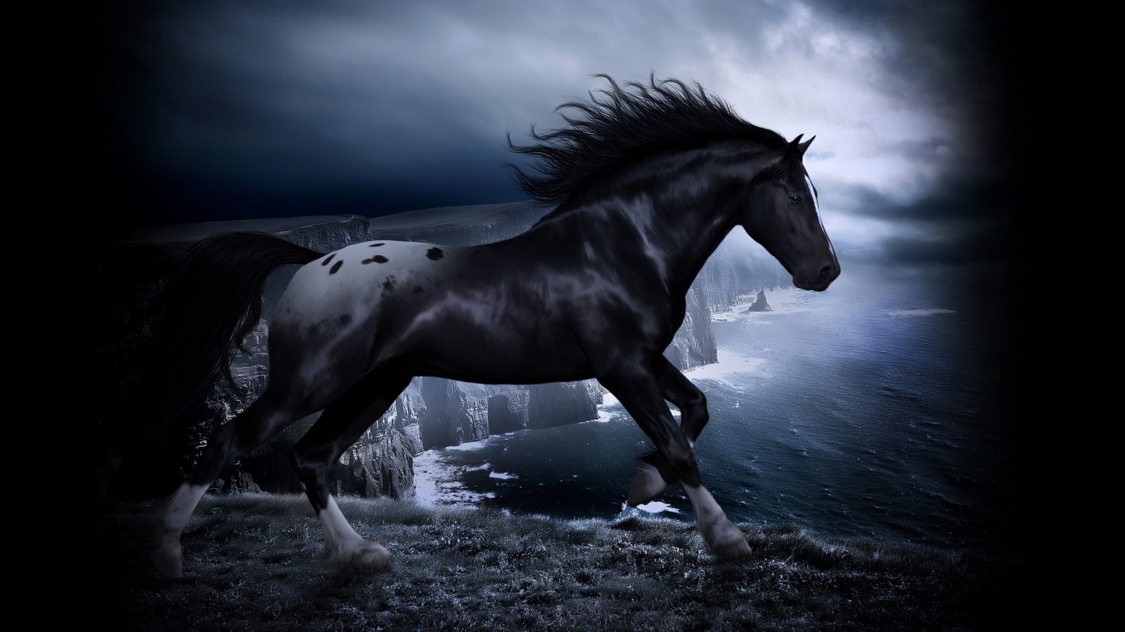 Black Horses Wallpaper Hd , HD Wallpaper & Backgrounds