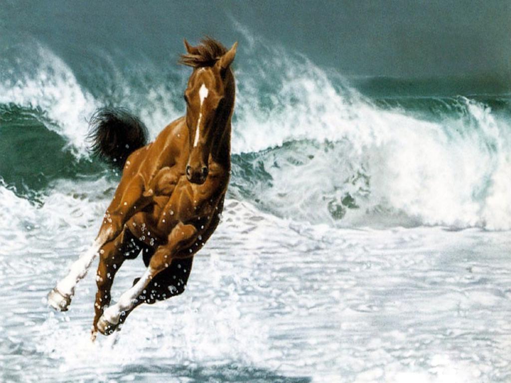 Running Horse On Beach , HD Wallpaper & Backgrounds