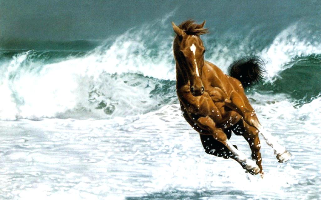 Horse Wallpaper Running In Ocean Horse Wallpaper Wallpaper - Horse Beach , HD Wallpaper & Backgrounds