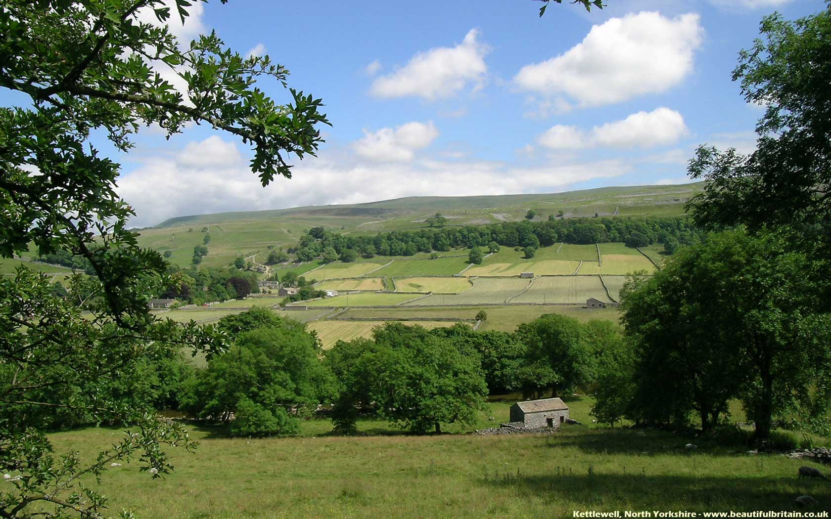 Summer Wallpaper - Summer Desktop , HD Wallpaper & Backgrounds