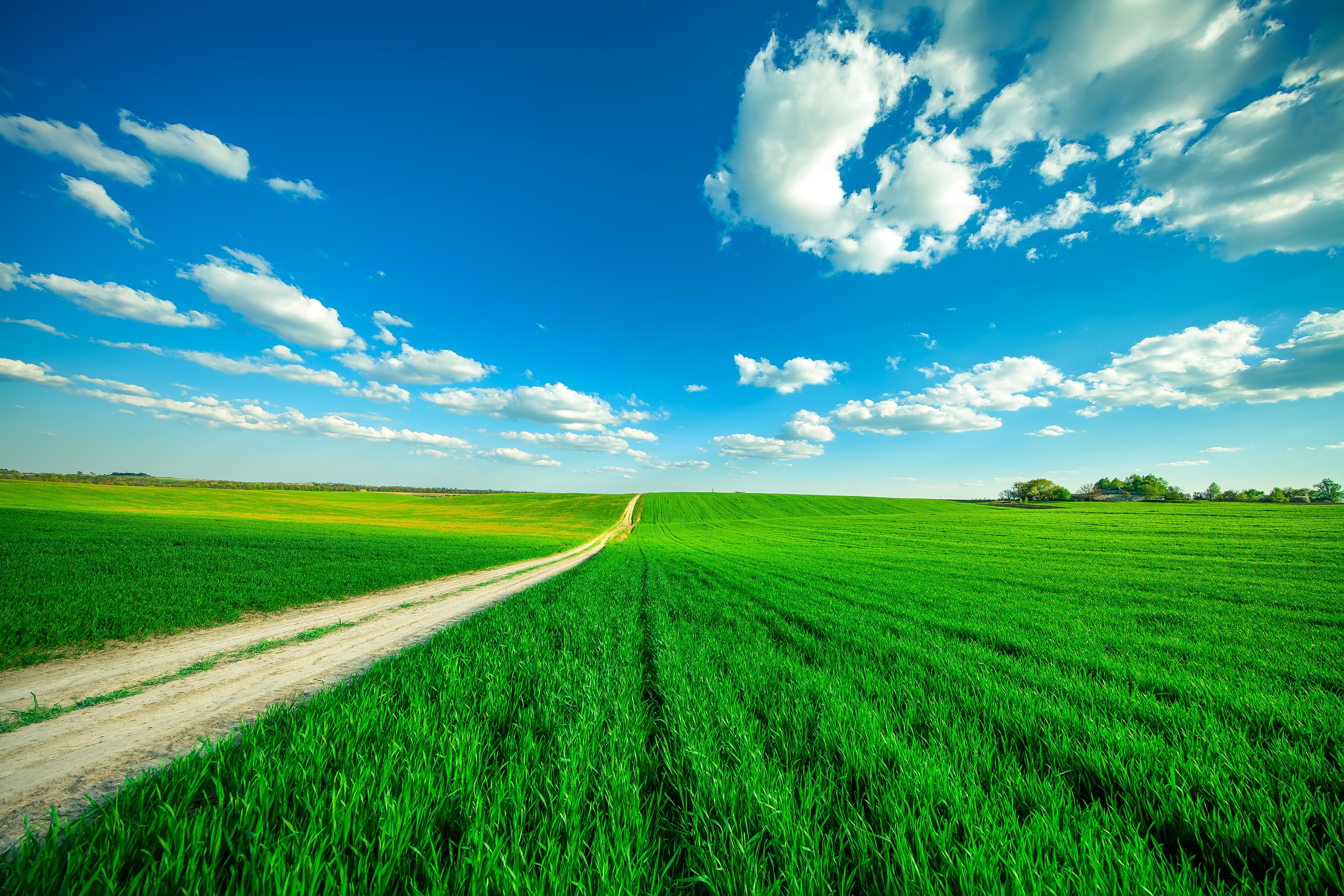 Clear Sky Beautiful Clouds Desktop Wallpaper Download - Paddy Field Hd , HD Wallpaper & Backgrounds