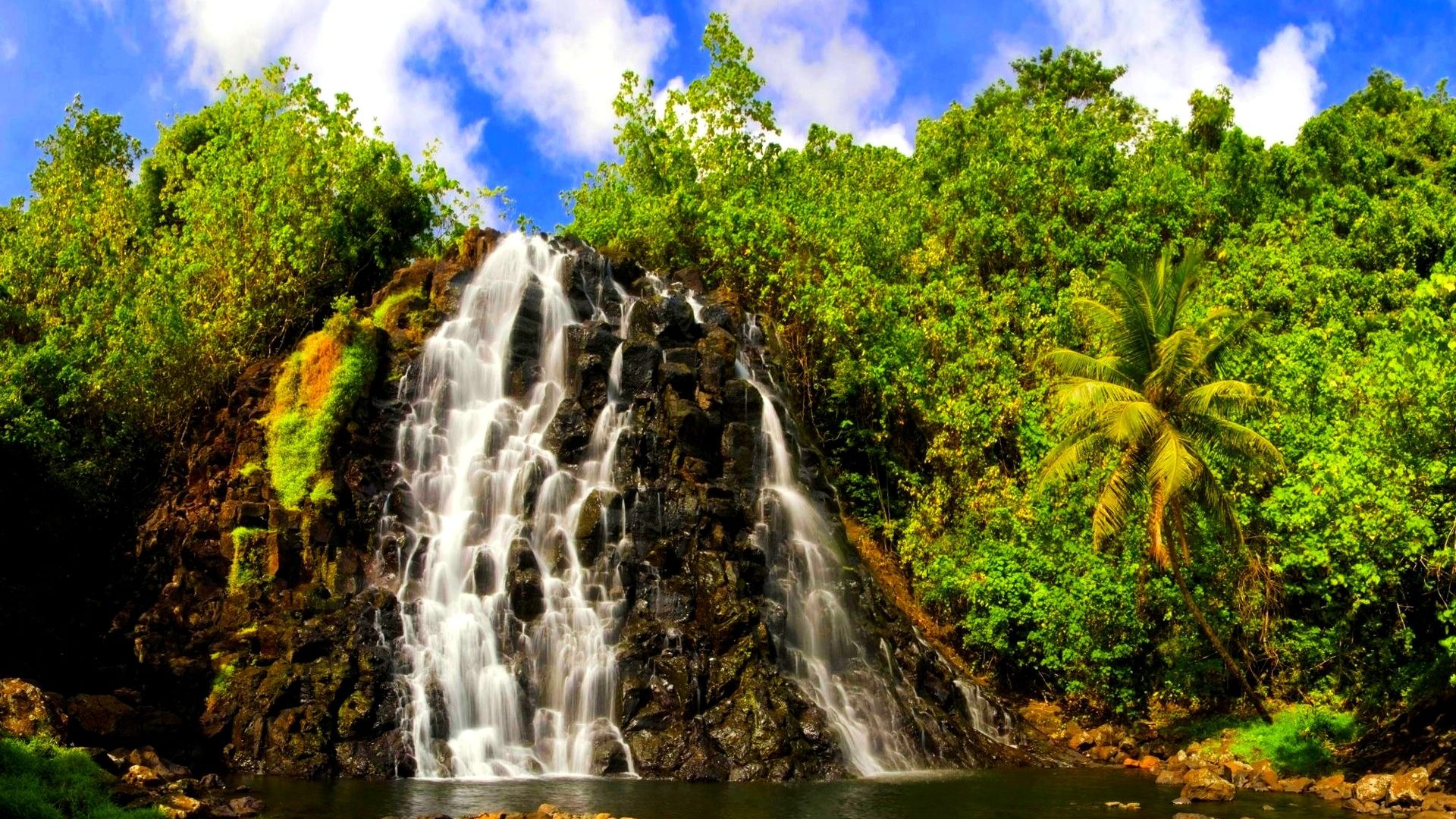 Rock Forest Waterfalls Palms Nature Waterfall Wallpaper - Federal States Of Micronesia Landmarks , HD Wallpaper & Backgrounds