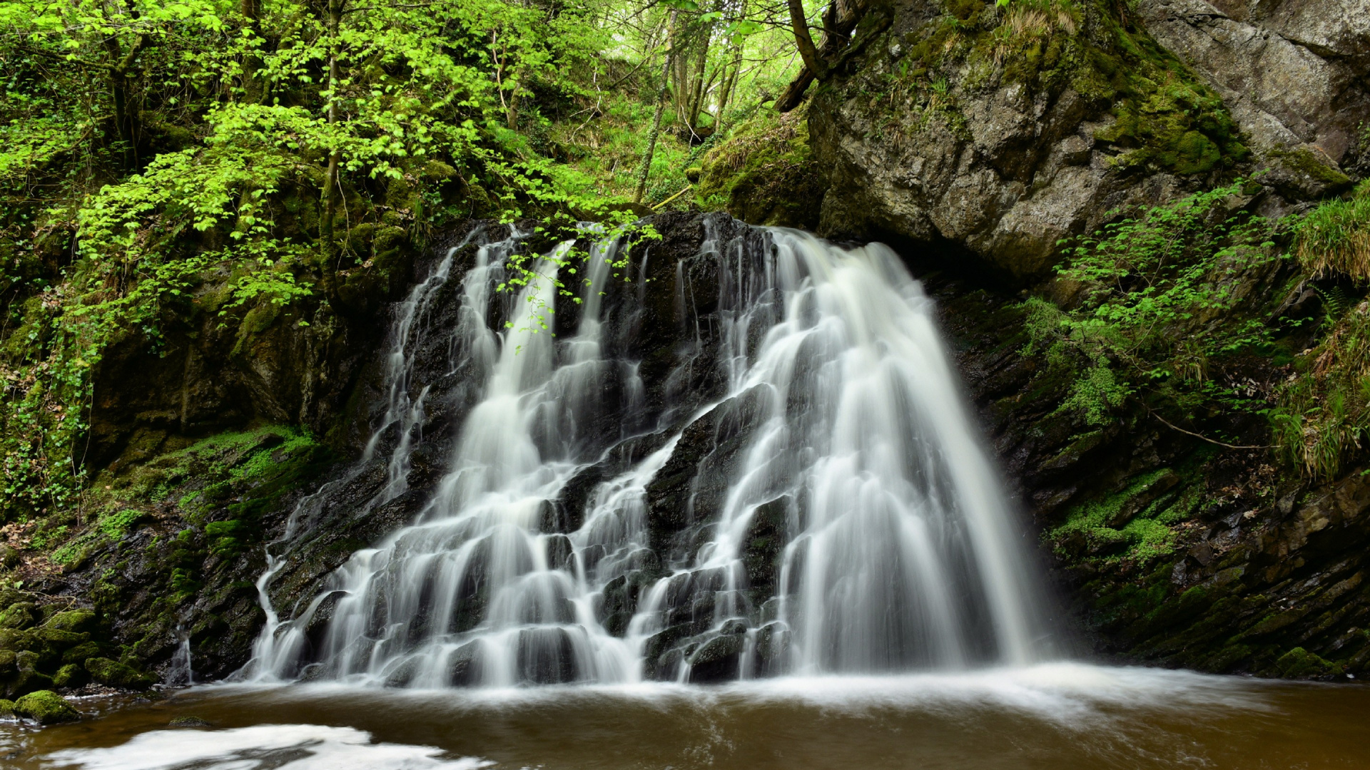 Nature, Body Of Water, Nature Reserve, Vegetation, - Fairy Glen Scotland , HD Wallpaper & Backgrounds