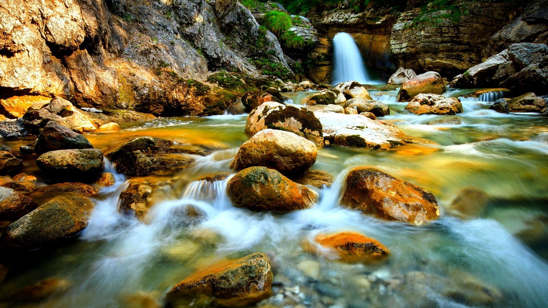 Stream Stones Small Forest Waterfalls Falls Desktop - Different Flowers And Waterfall Background , HD Wallpaper & Backgrounds