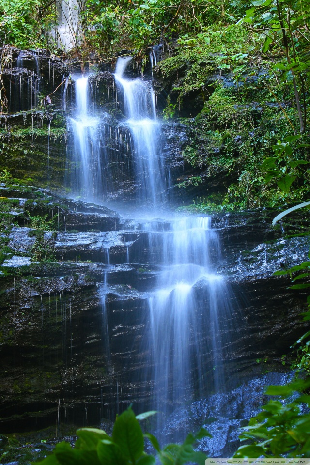 Mobile Hvga - Waterfall Wallpaper Forest , HD Wallpaper & Backgrounds