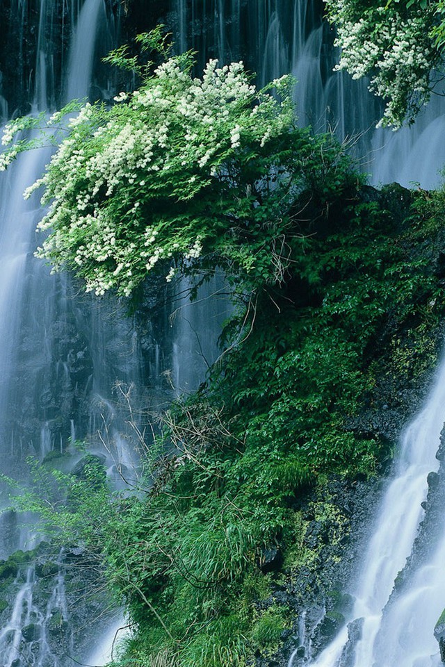 Waterfall , HD Wallpaper & Backgrounds
