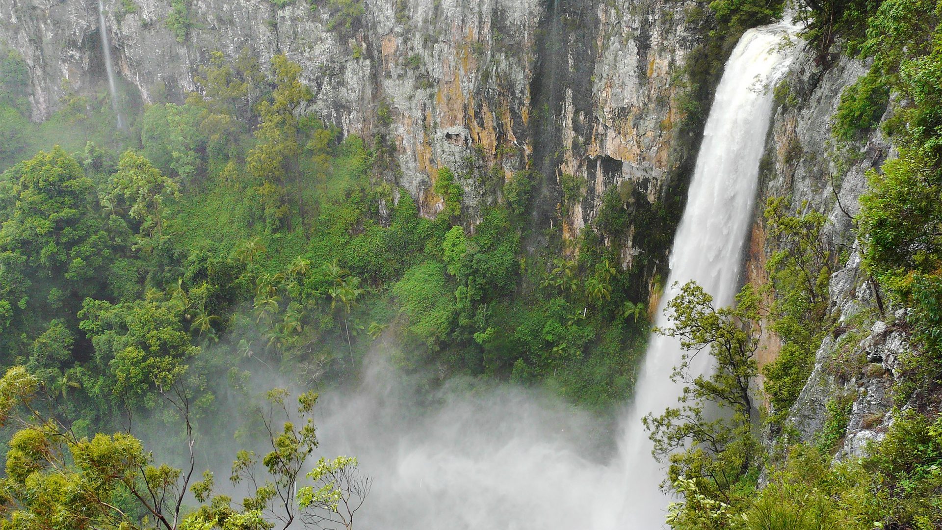 Queensland Purlingbrook Waterfalls Falls Australia - Purling Brook Falls , HD Wallpaper & Backgrounds