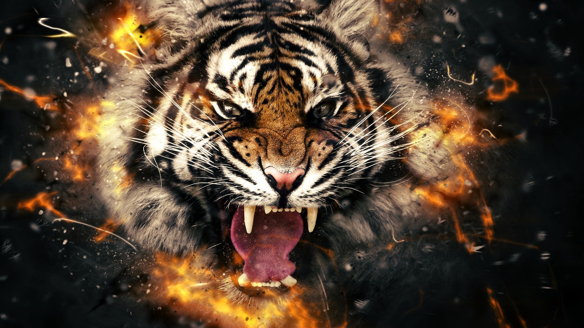 Back To 86 3d Digital Face Wallpapers - Angry Tiger , HD Wallpaper & Backgrounds