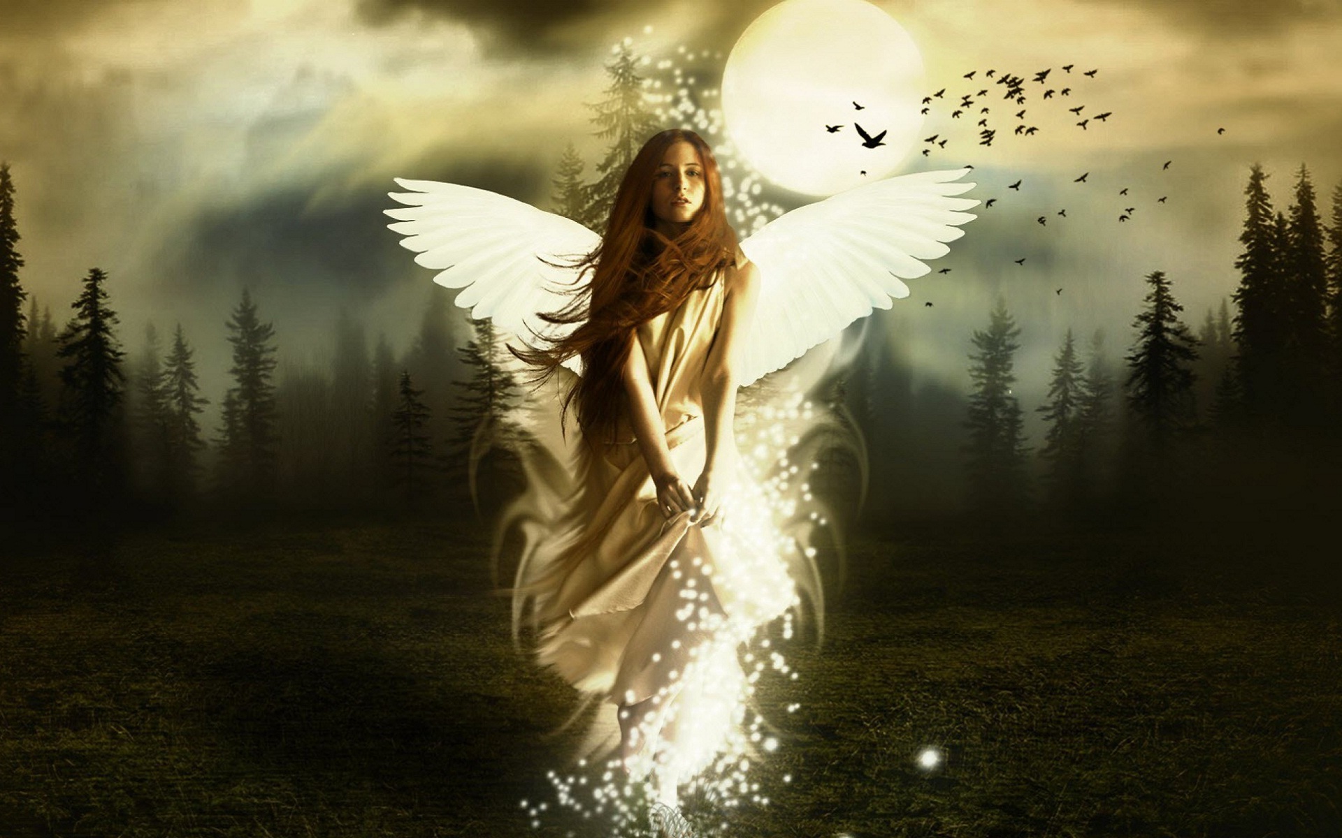 Best Angel Wallpapers Hd , HD Wallpaper & Backgrounds