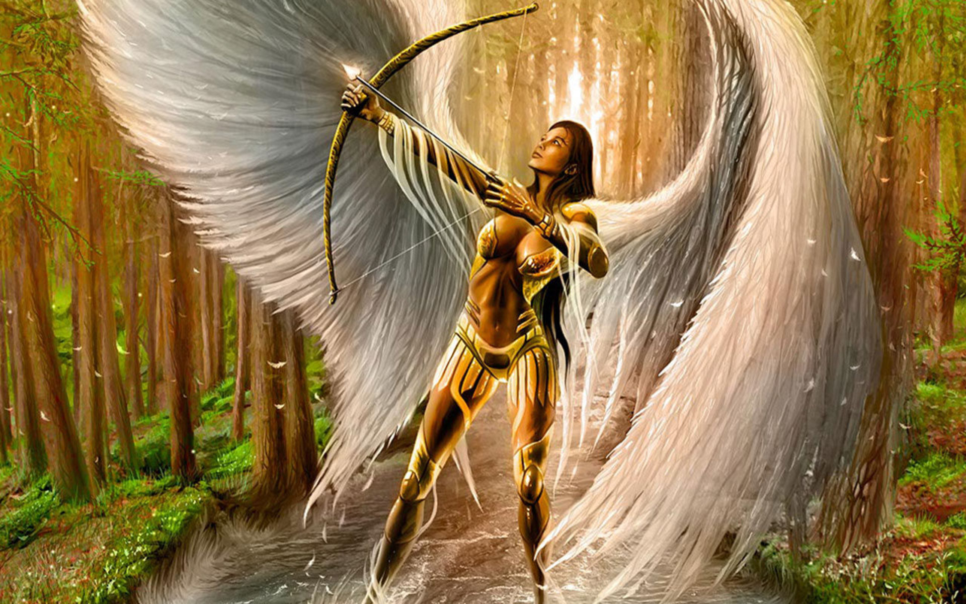 Angel Bow And Arrow , HD Wallpaper & Backgrounds