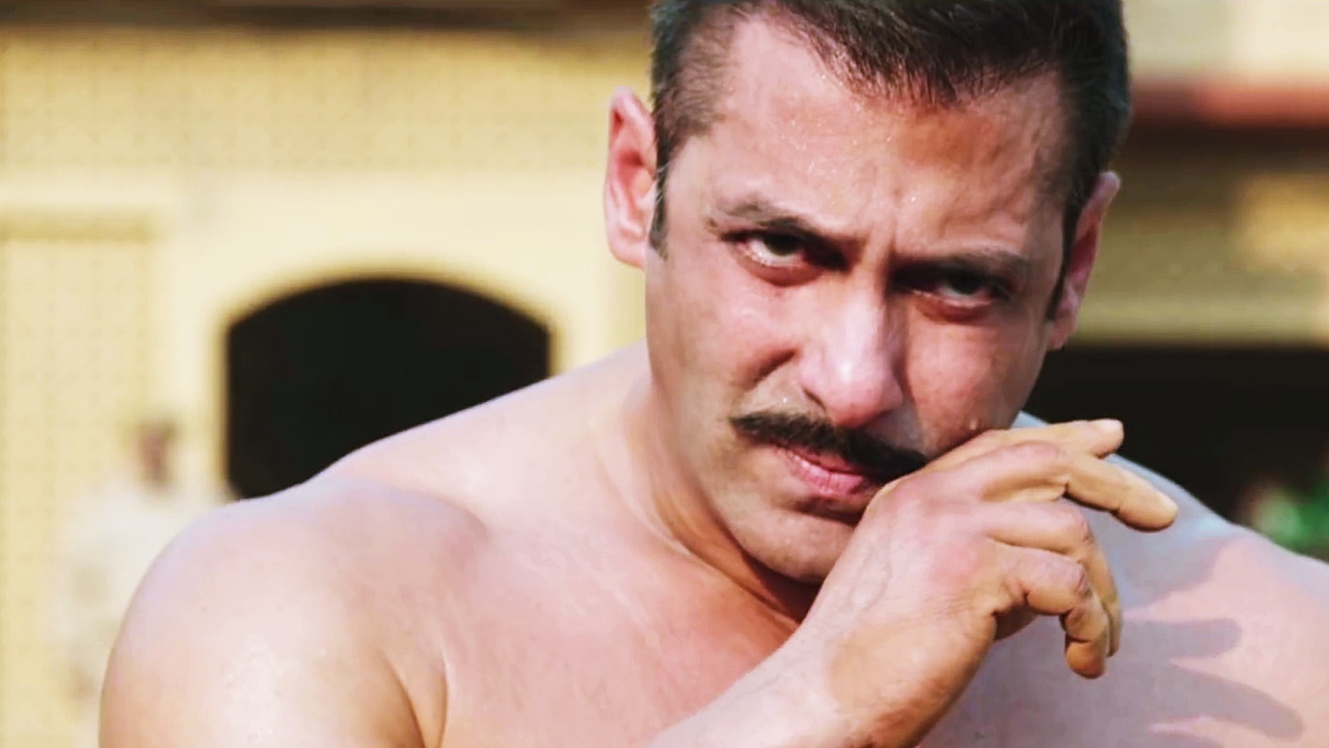 Sultan Salman Khan Wallpaper - Salman Khan Tiger Zinda Hai Box Office , HD Wallpaper & Backgrounds