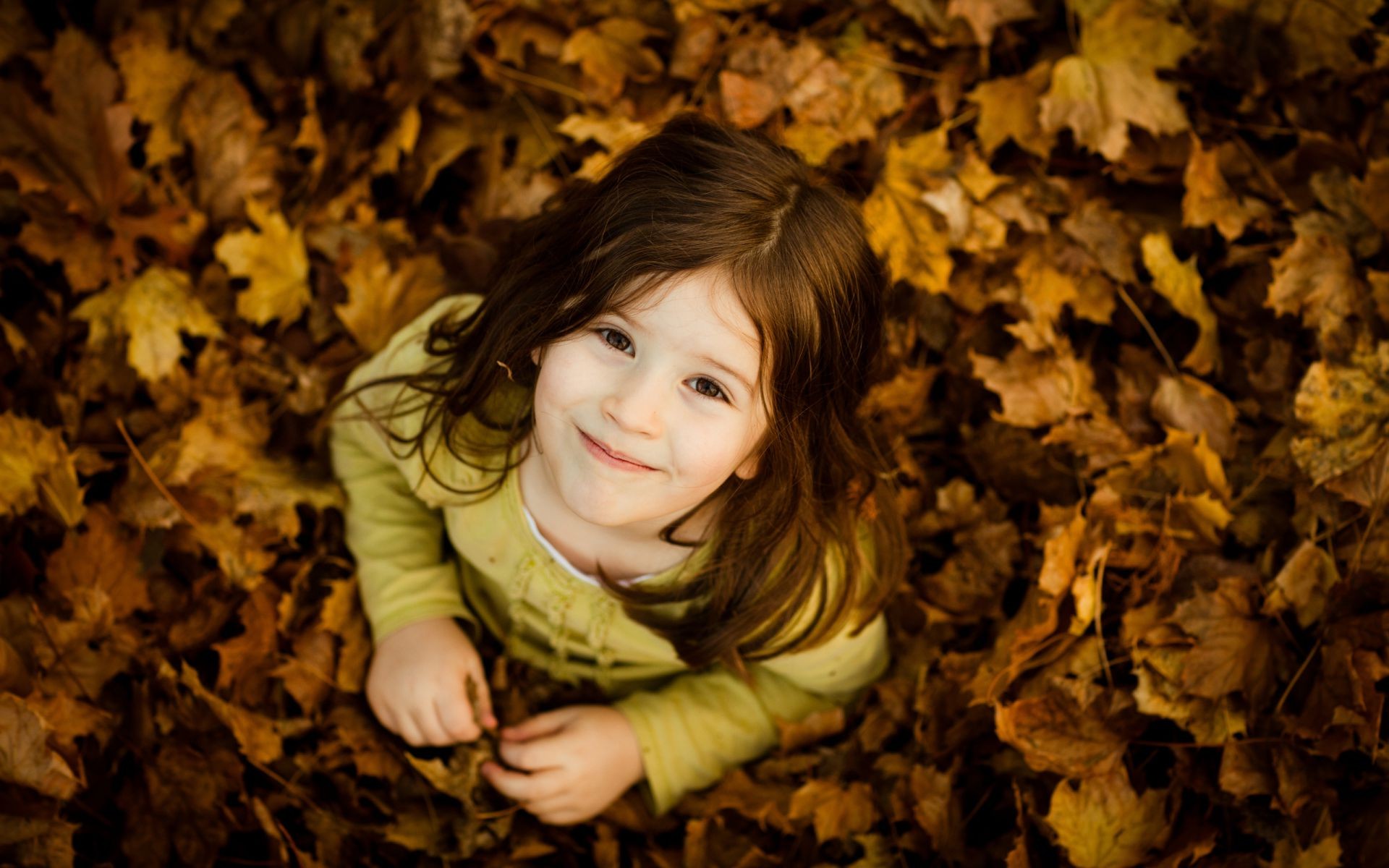 Laughing Children Fall Nature Girl Leaf Wood Maple - Prety Baby Girl , HD Wallpaper & Backgrounds