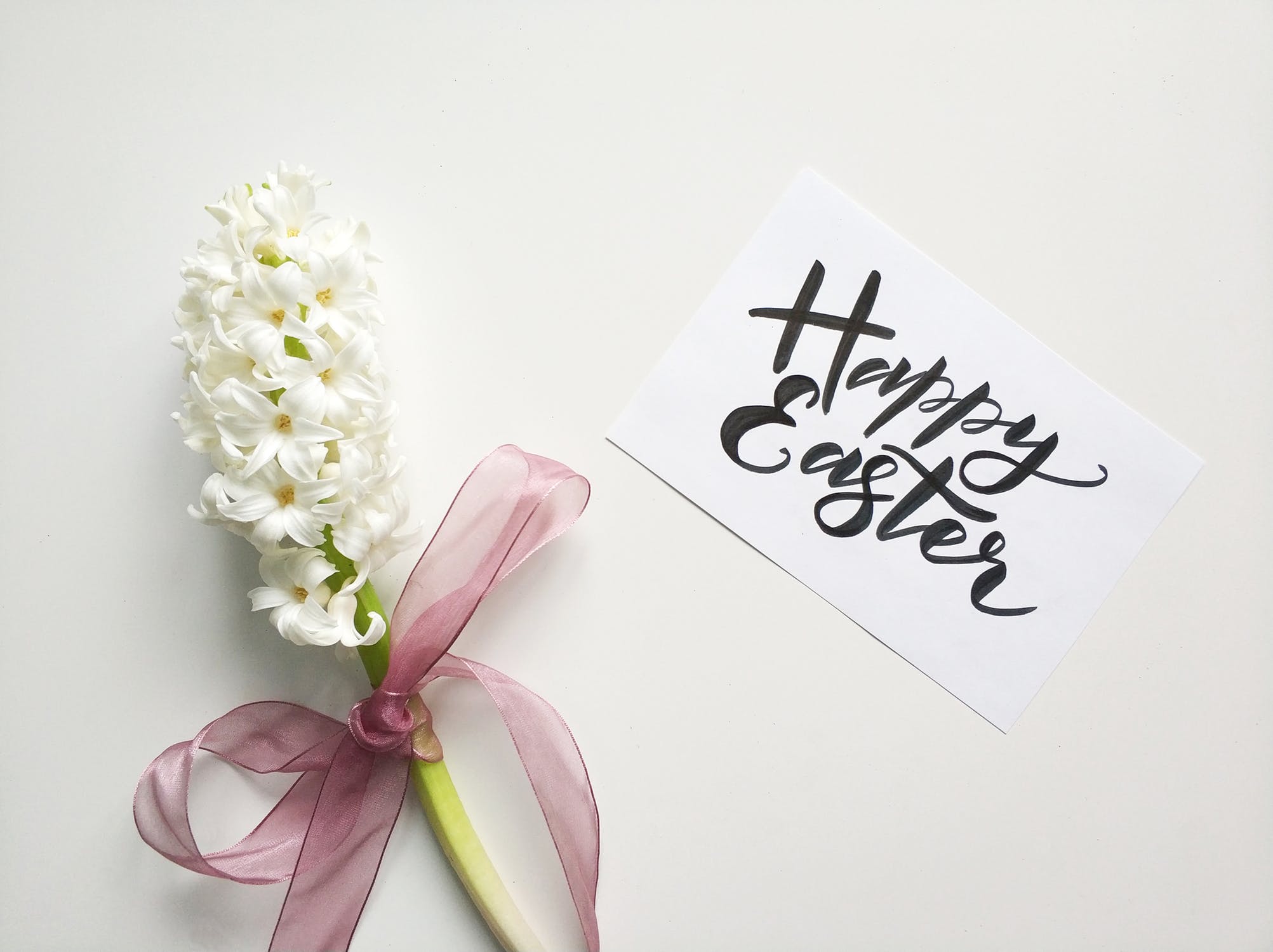 White Flowers Happy Easter - Happy Easter Day 2019 , HD Wallpaper & Backgrounds