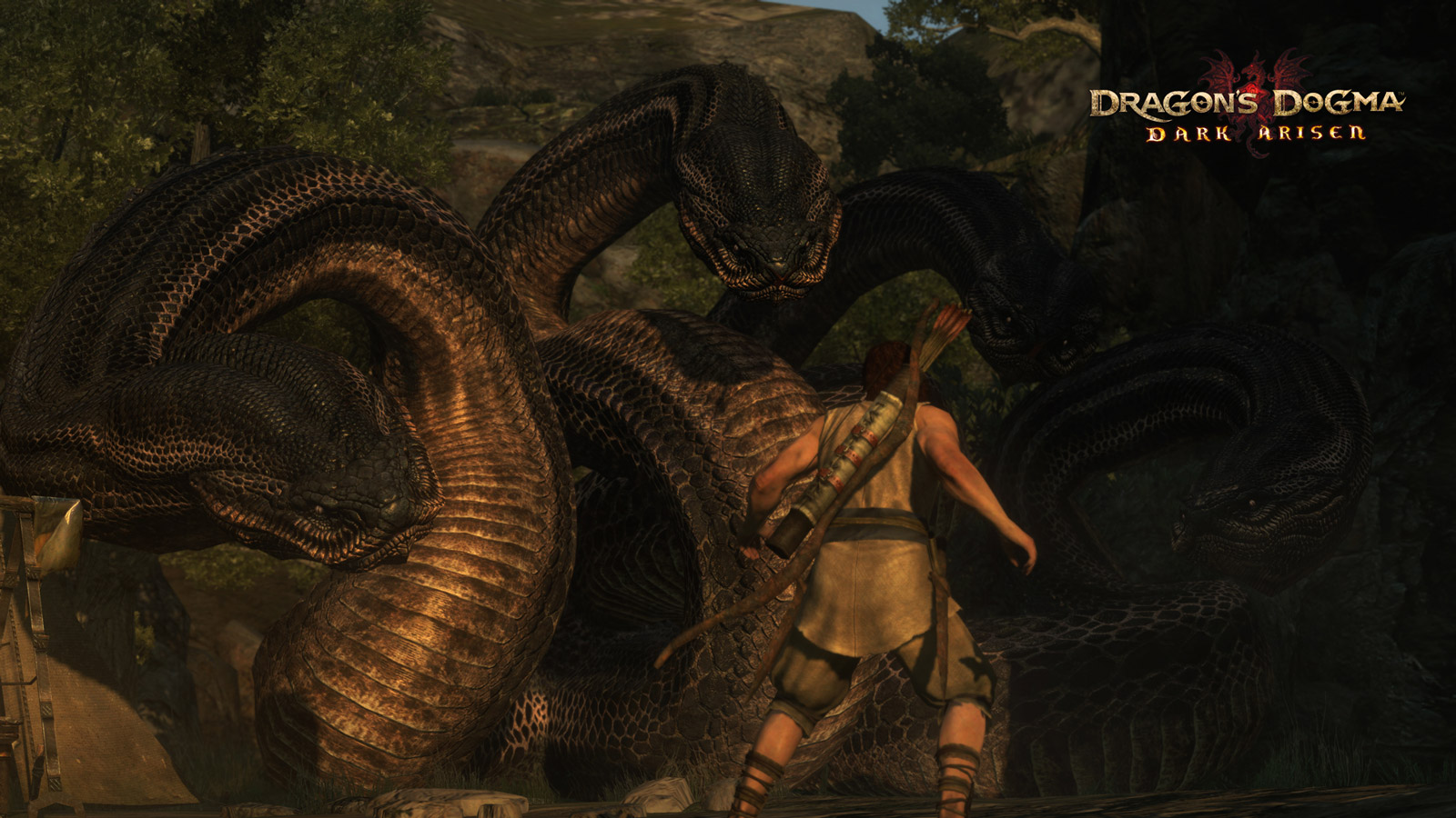 Dragons Dogma Kid Characters , HD Wallpaper & Backgrounds