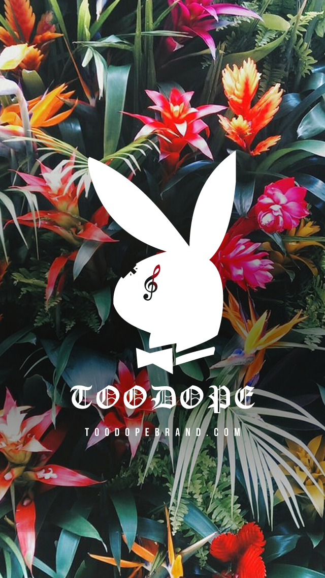 Flower Tropical Wallpaper Iphone 6 , HD Wallpaper & Backgrounds