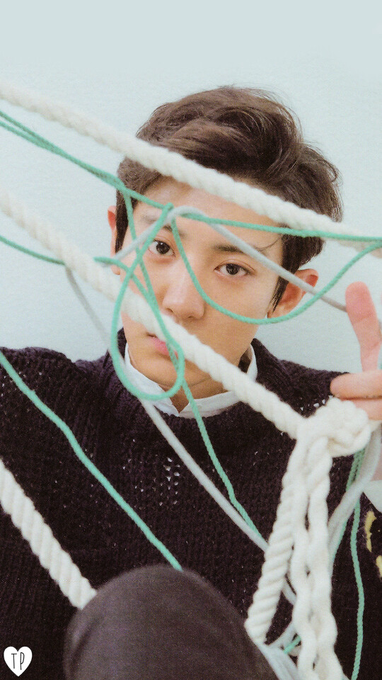 Chanyeol Wallpaper Tags - Chanyeol , HD Wallpaper & Backgrounds