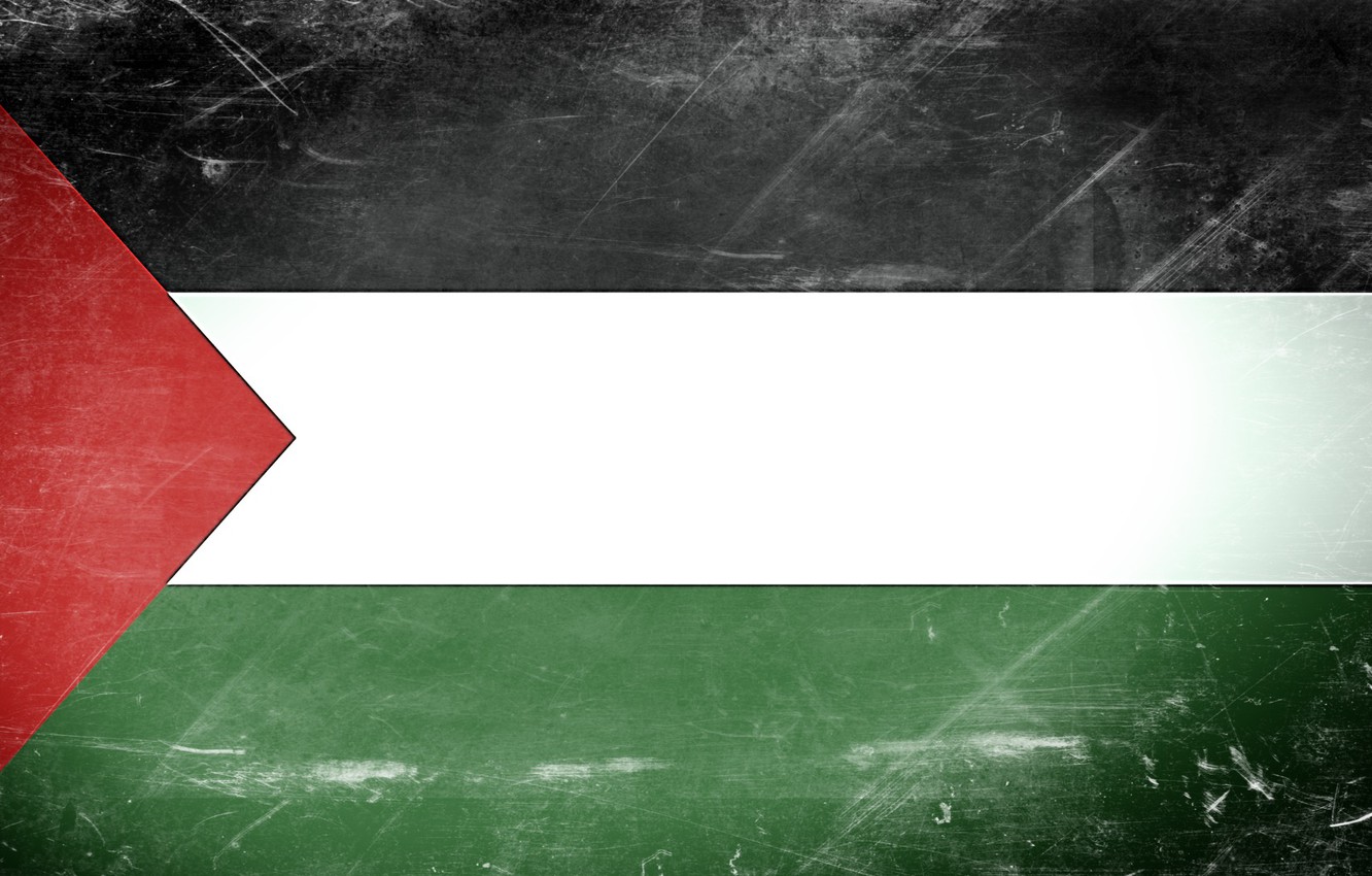 Photo Wallpaper Flag, Texture, Palestine, Gaza - Monochrome , HD Wallpaper & Backgrounds